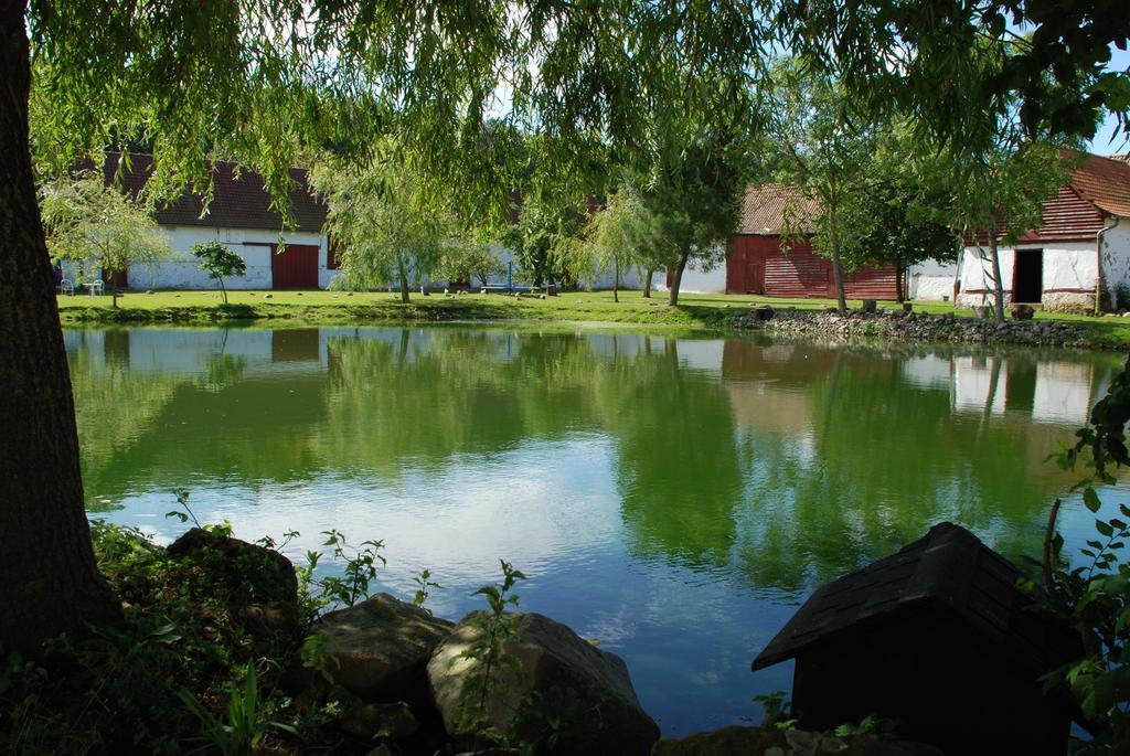 Alojamento de Acomodação e Pequeno-almoço Domaine De Collen Lépine