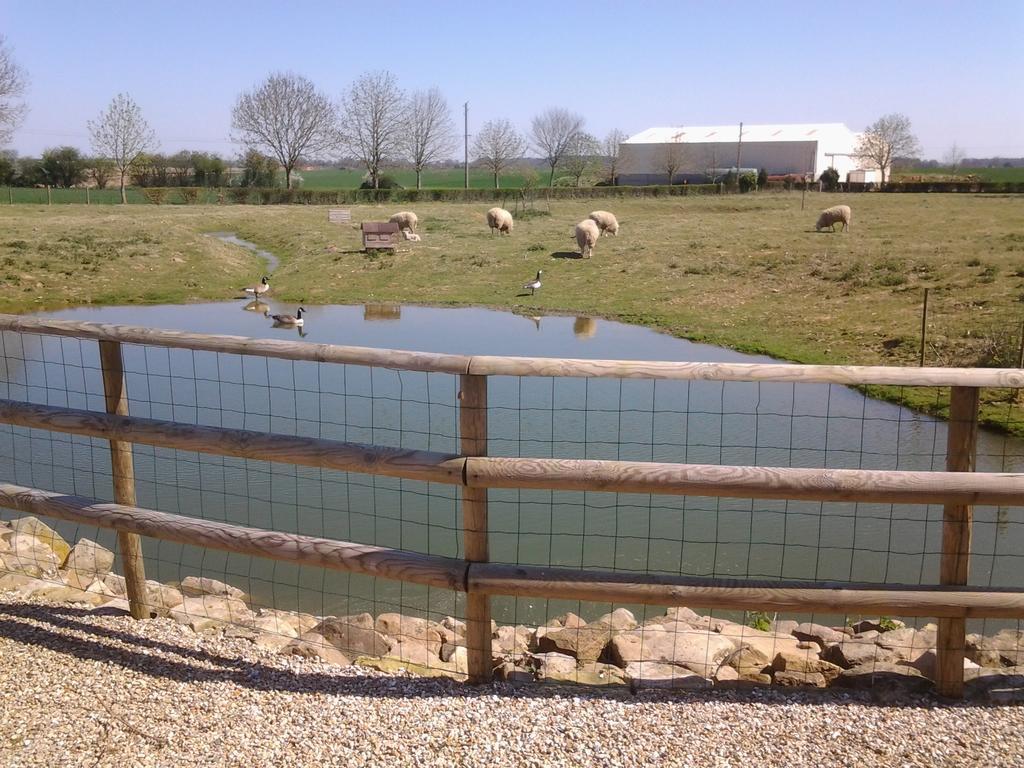 Domaine De Collen